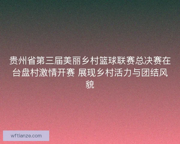 贵州省第三届美丽乡村篮球联赛总决赛在台盘村激情开赛 展现乡村活力与团结风貌