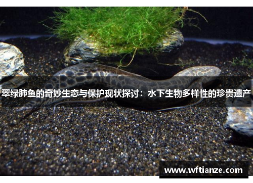 翠绿肺鱼的奇妙生态与保护现状探讨：水下生物多样性的珍贵遗产