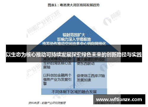 以生态为核心推动可持续发展探索绿色未来的创新路径与实践